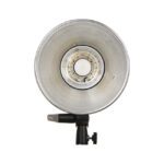 فلاش گودوکس Godox QT400IIM