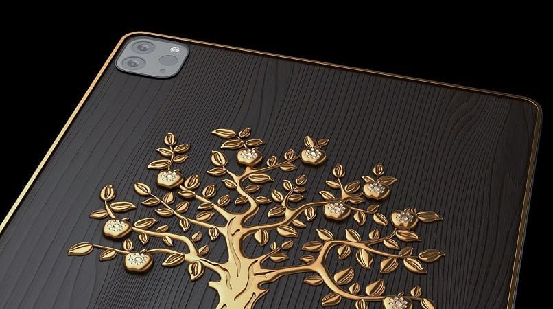 iPad Pro 11 Caviar