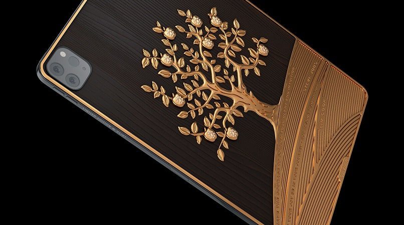 iPad Pro 11 Caviar