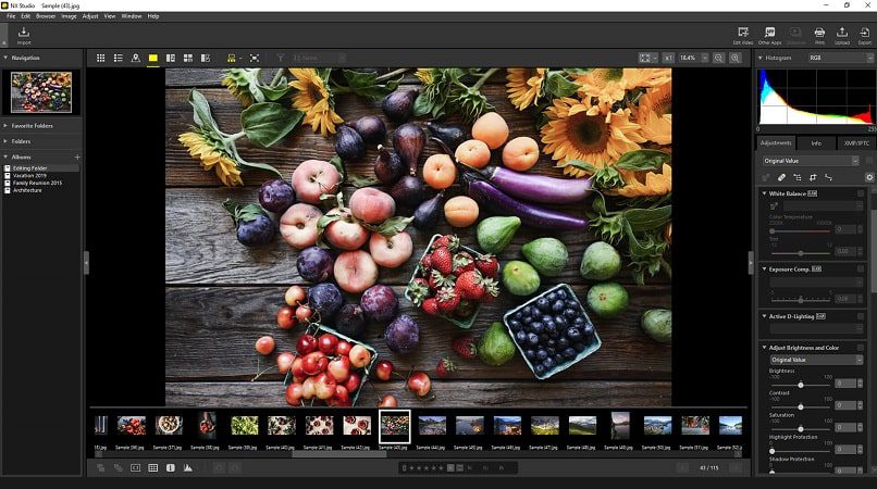 Nikon NX Studio