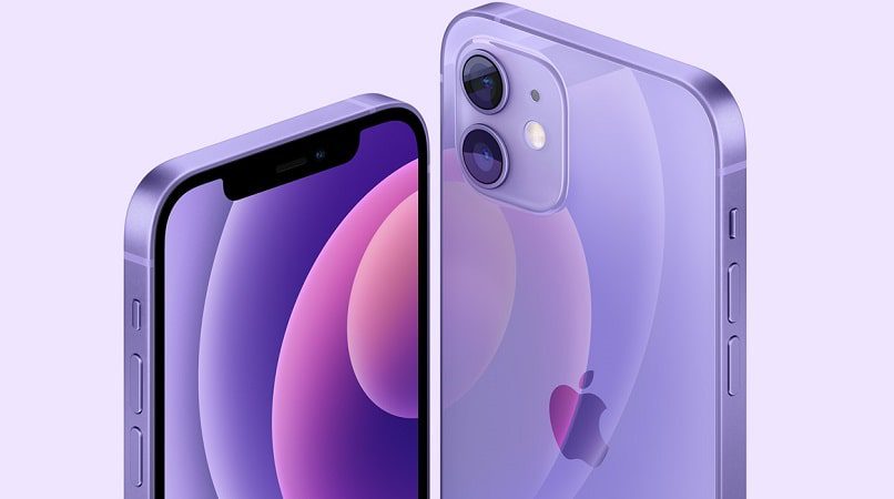 iPhone 12 Purple