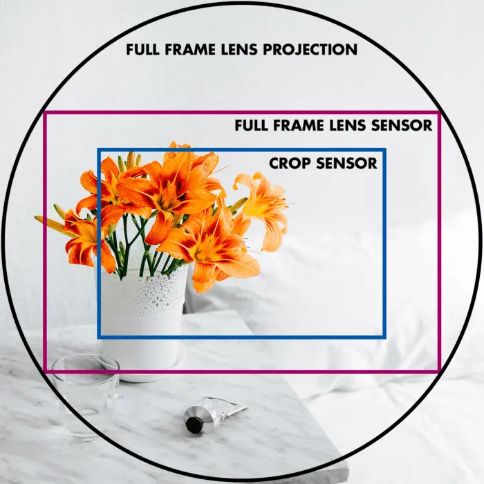 ضریب برش یا Crop Factor در عکاسی چیست؟