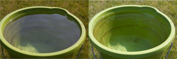 تصویری از همان عکس یک سطل سبز در یک روز آفتابی، قبل و بعد از استفاده از فیلتر پلاریزه