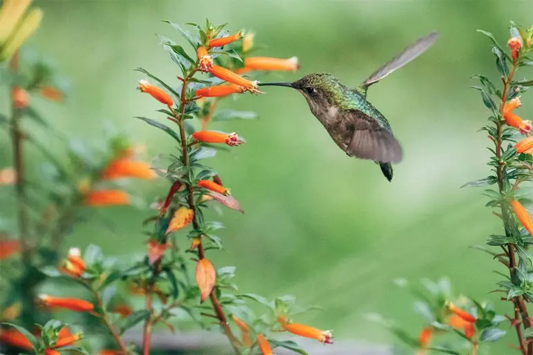 10 نکته خیلی راحت و سریع برای خوب عکاسی کردن