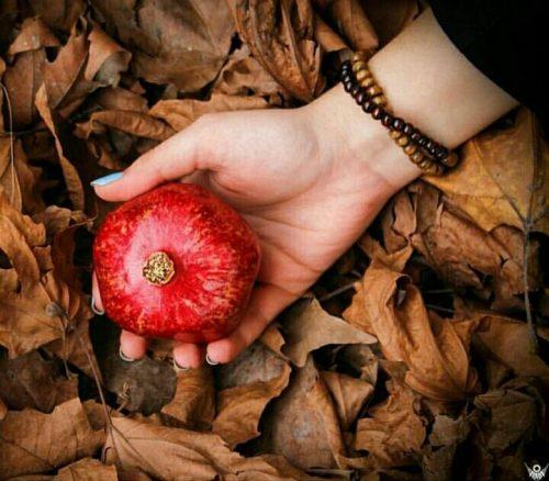 عکس در سبک شب یلدا