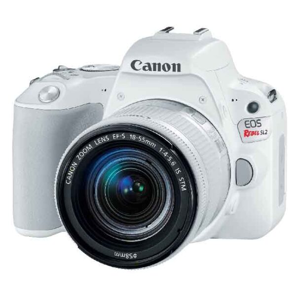 دوربین عکاسی کانن Canon 250D 18-55 IS STM مشکی - Image 5