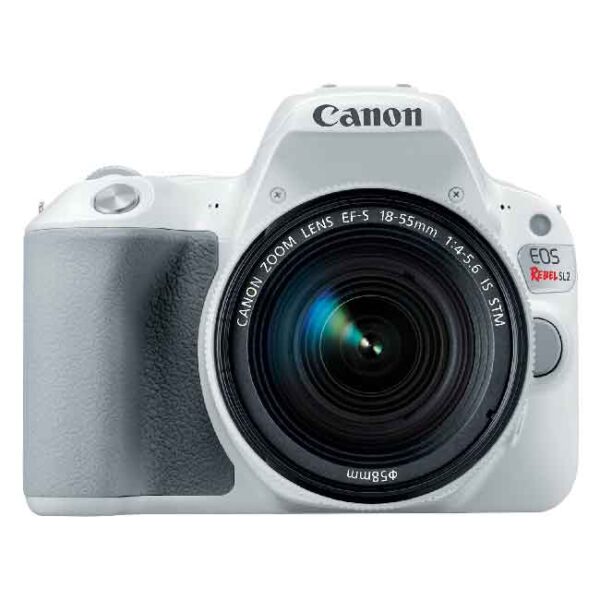 دوربین عکاسی کانن Canon 250D 18-55 IS STM مشکی - Image 7