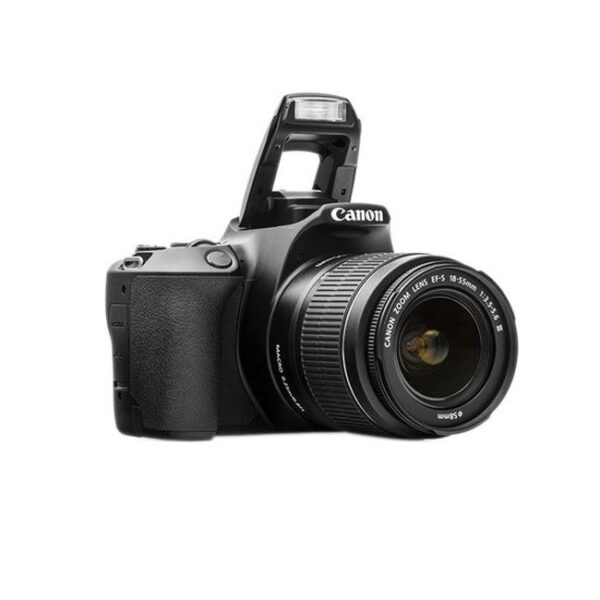 دوربین عکاسی کانن Canon 250D 18-55 IS STM مشکی - Image 4