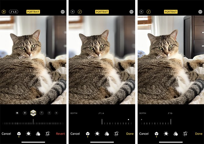 پرتره گربه با استفاده از iPhone در f/4.5 ، f/1.4 و f/16.