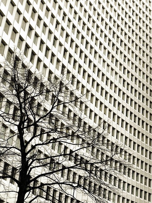 درختی در پیش‌زمینه یک ساختمان بزرگ چند پنجره‌ای که تعادل مفهومی وزن را در عکاسی نشان می‌دهد