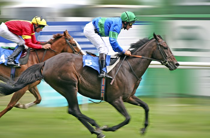 عکس تیز سواران در مسابقه اسب دوانی
