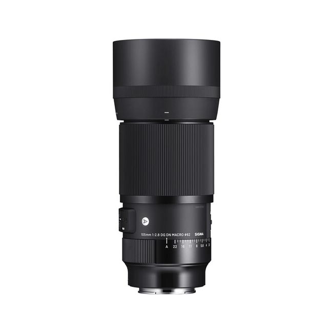 لنز سیگما Sigma 105mm f/2.8 DG DN Macro Art Lens مانت Sony E