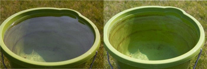 تصویری از همان عکس یک سطل سبز در یک روز آفتابی، قبل و بعد از استفاده از فیلتر پلاریزه