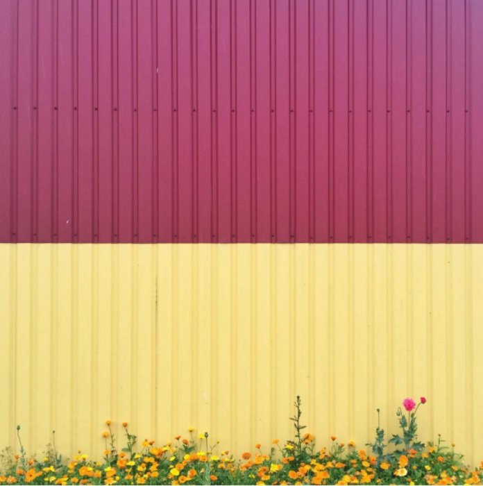  عکس رنگی با دیوارهای زرد و بنفش