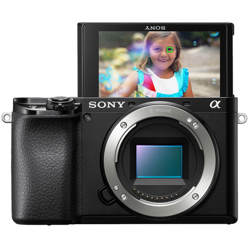 Sony a6100 Mirrorless Camera 1