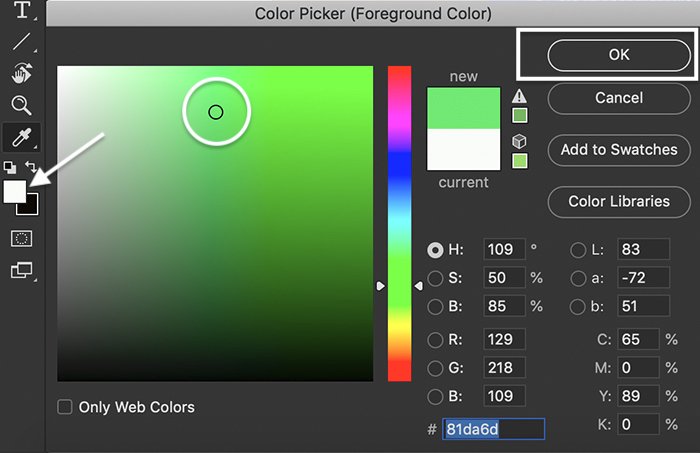 اسکرین شات از پنل انتخاب Color Picker (Foreground Color).