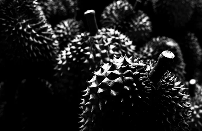 Black and White Travel Photography durian fruits