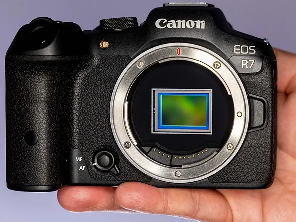 Canon EOS R7 sensor