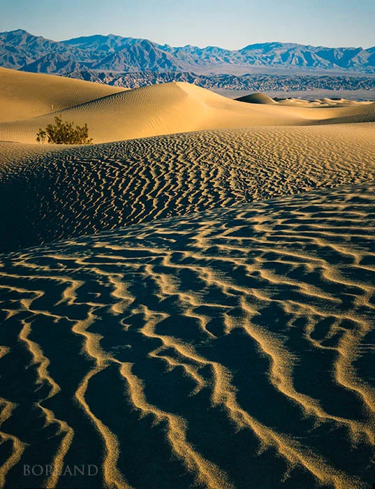 Desert Photography Death Valley Dunes