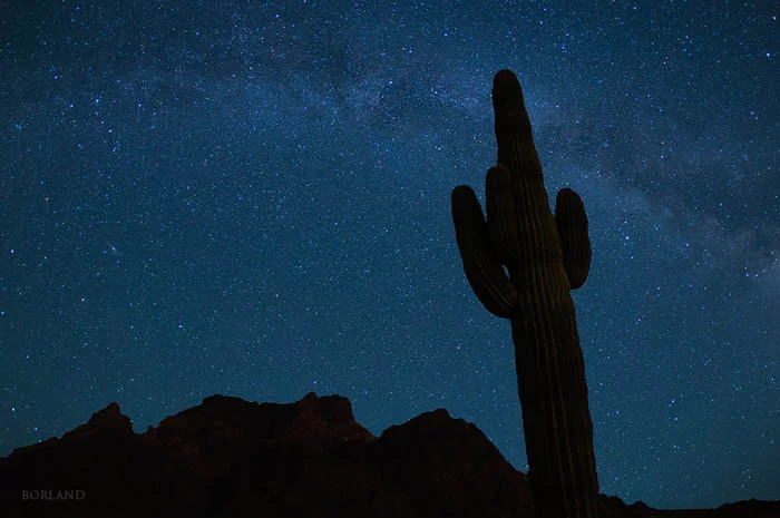 Desert Photography Nighttime Desert Sky