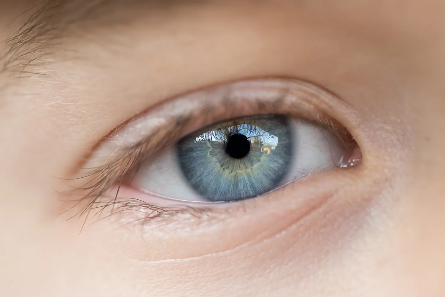 macro eye photography tips iris enhance final