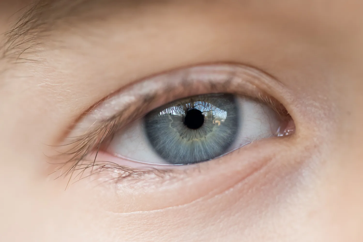 macro eye photography tips iris enhance original