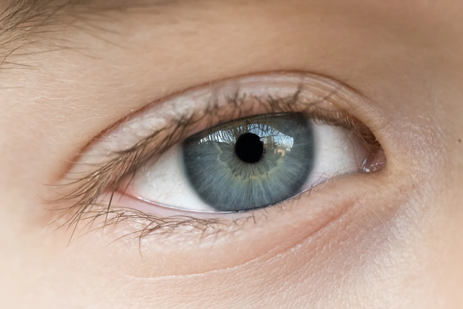 macro eye photography tips whites enhance final