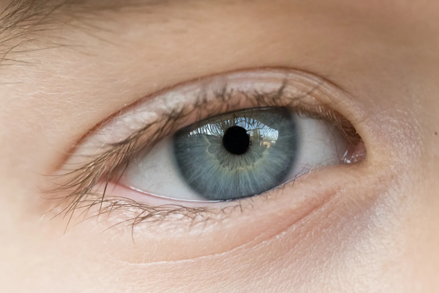 macro eye photography tips whites enhance original