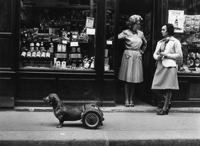 25 famous photographers Robert Doisneau