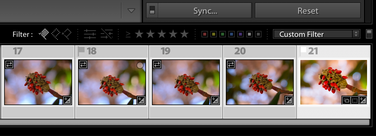 faster lightroom workflow sync settings