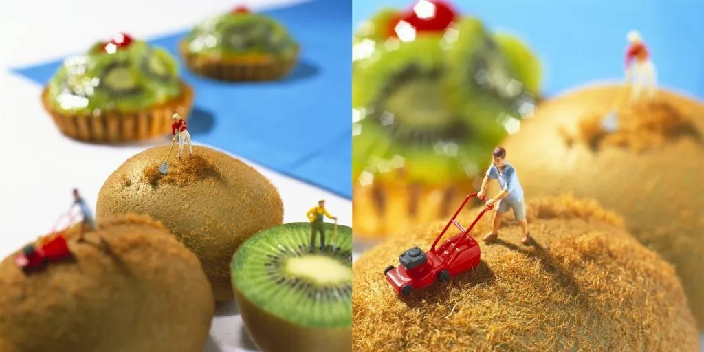 ایده عکاسی مینیاتوری با آدمک روی کیوی