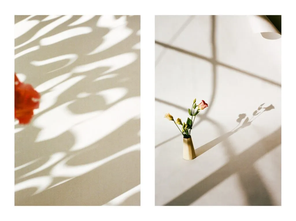 ایده عکاسی سایه گل با نور طبیعی