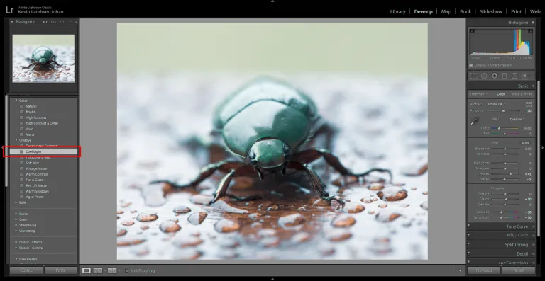 RAW Photo Editing Cool Light Beetle
