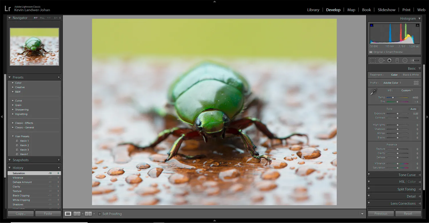 RAW Photo Editing Zeroed Beetle