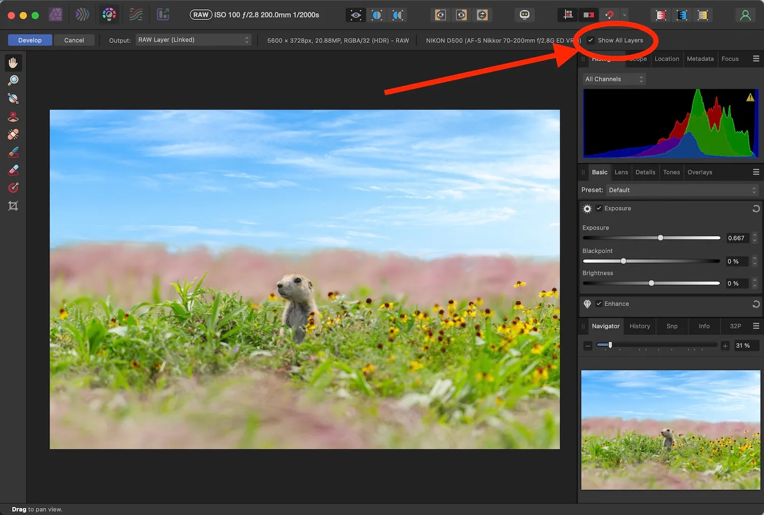 affinity photo raw non destructive raw mask sky replacement return to raw develop 1 1