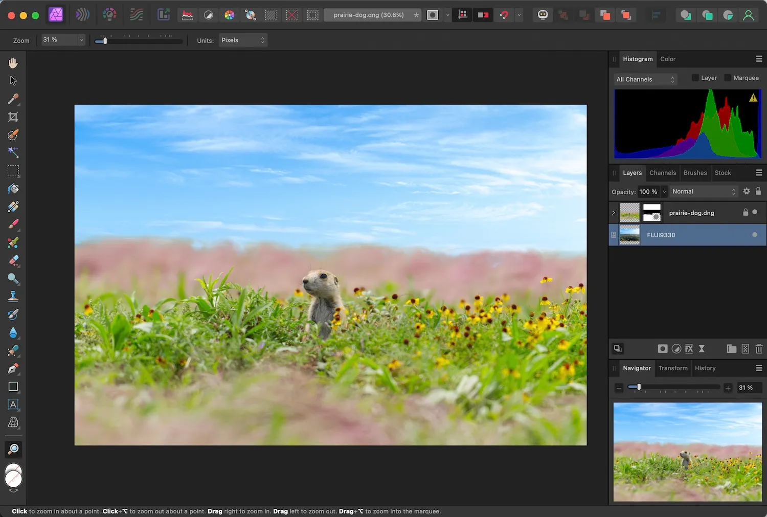 affinity photo raw non destructive raw mask sky replacement