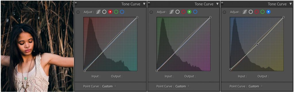 rgb curve for film look 1024x321 1