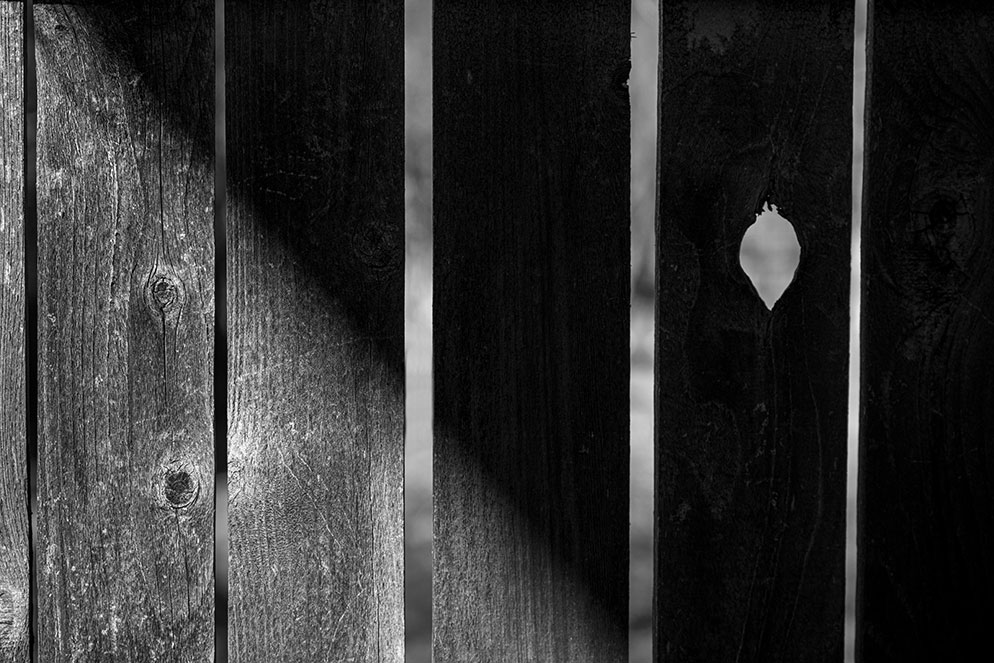 Tom Bol photos around home fence shadow