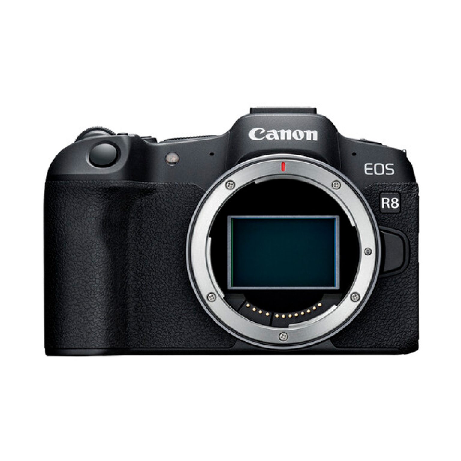 Canon EOS R8 Mirrorless Camera 3
