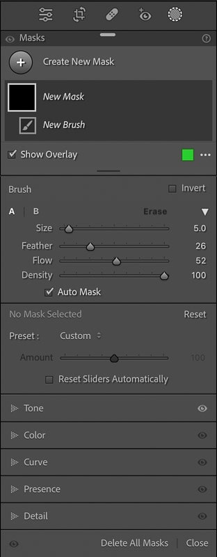 how to use lightroom brush presets 1