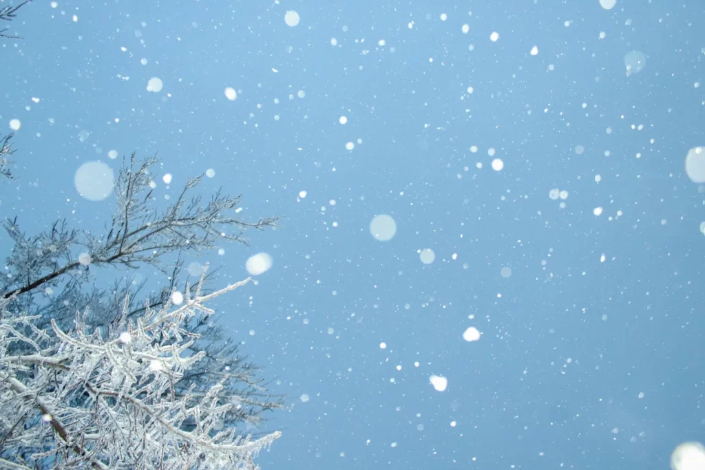 snow photography tips a beginners guide 1