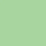 فون کاغذی سوج سبز نعنایی Savage #40 Mint Green - Image 2