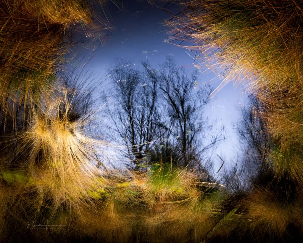 nando icm and multiple exposures 2 nando icm and multiple exposures 2