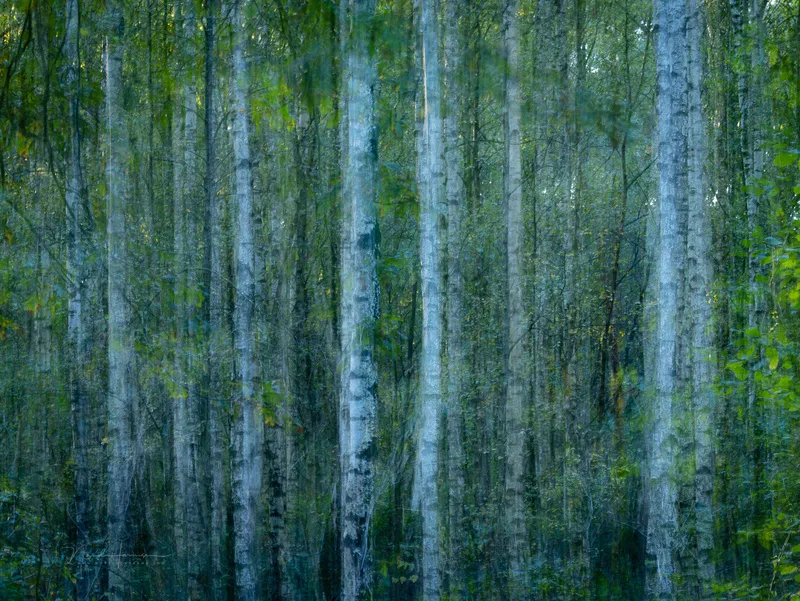nando icm and multiple nando icm and multiple