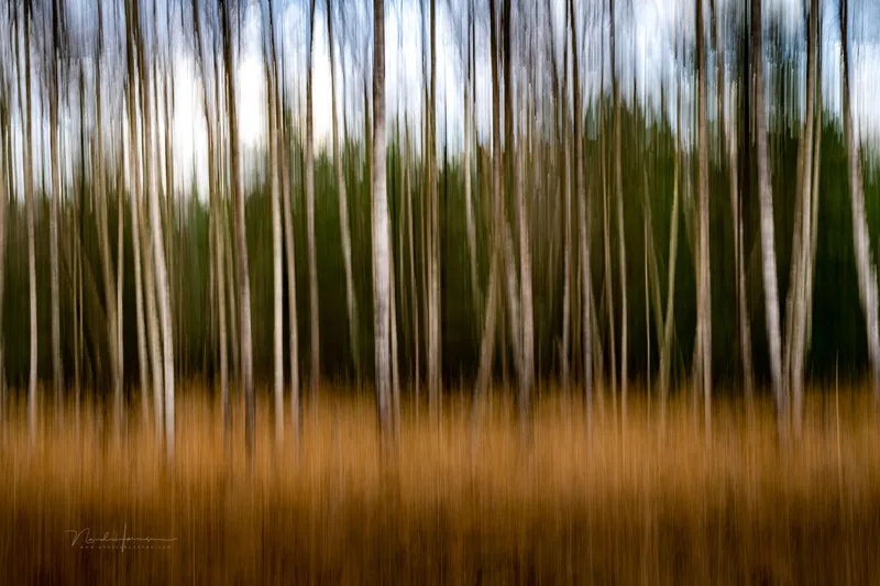 nando using icm techniques 12 nando using icm techniques 12