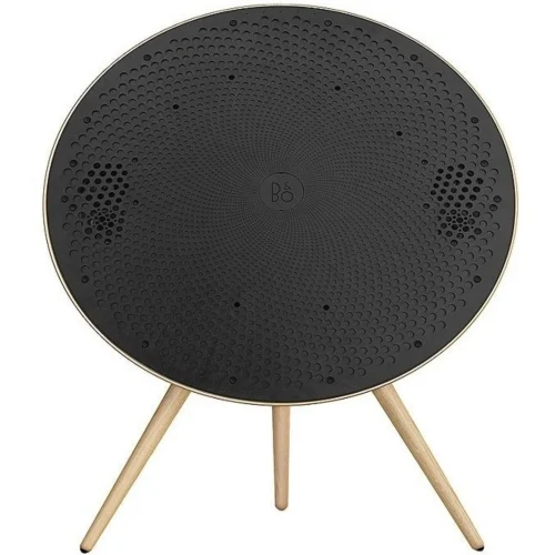 اسپیکر بی سیم بنگ اند آلفسن مدل Beosound A9 5GN - Image 6