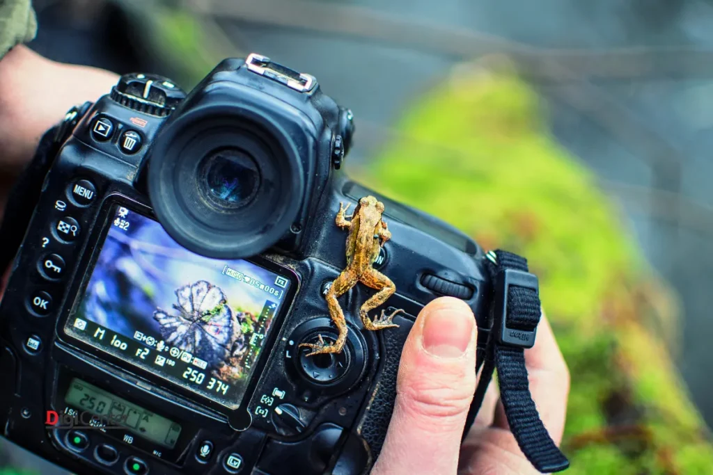 مثلث نوردهی تنظیمات دوربین کنون