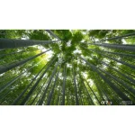 لنز سونی Sony FE 16mm f/1.8 G Lens (Sony E) - Image 3