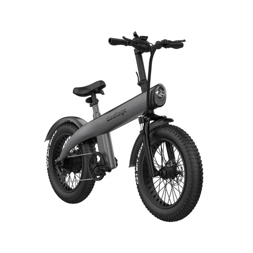 دوچرخه الکترونیکی گلتیج مدل Goaltage EBK01  EcoMotion 250W Electric Bike - Image 5