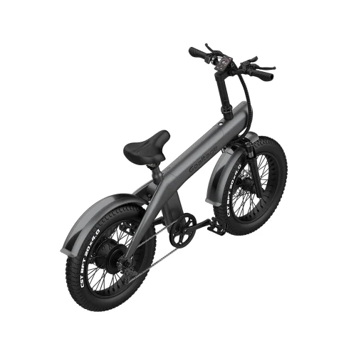 دوچرخه الکترونیکی گلتیج مدل Goaltage EBK01  EcoMotion 250W Electric Bike - Image 3